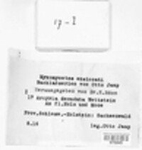 Image Associated With the Occurence